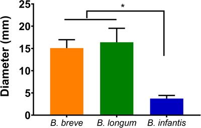 Two-Stage Interpretation of Changes in TEER of Intestinal Epithelial Layers Protected by Adhering Bifidobacteria During E. coli Challenges